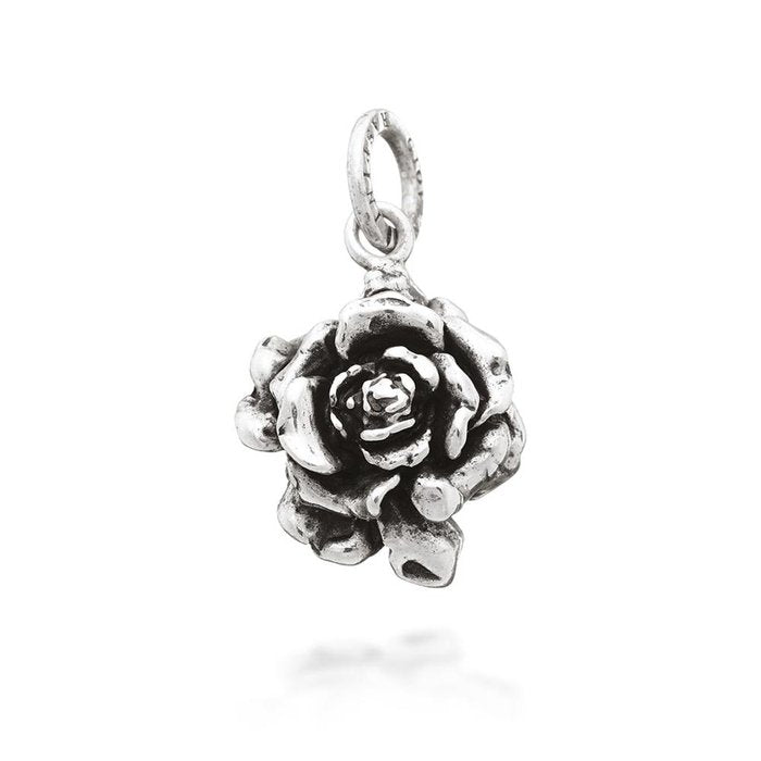 Charme rose