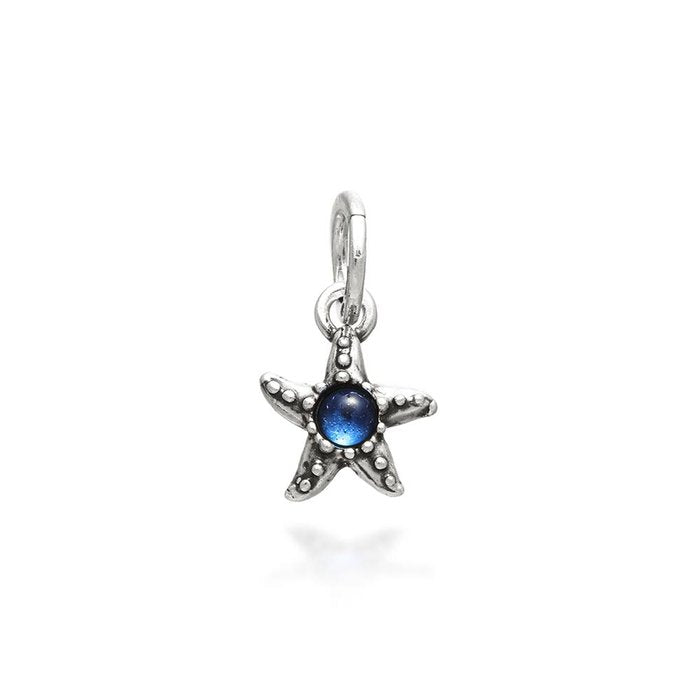 Couleur du charme étoile de mer