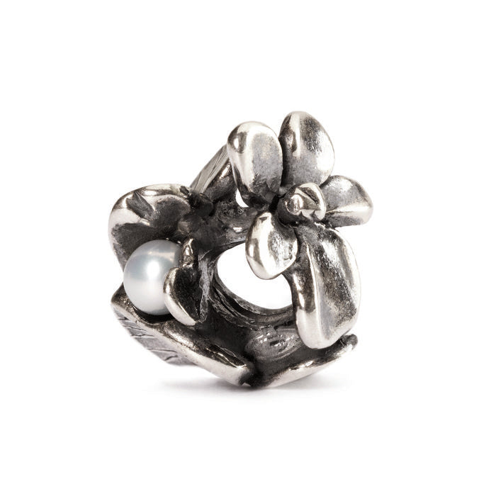 Bead viola di febbraio