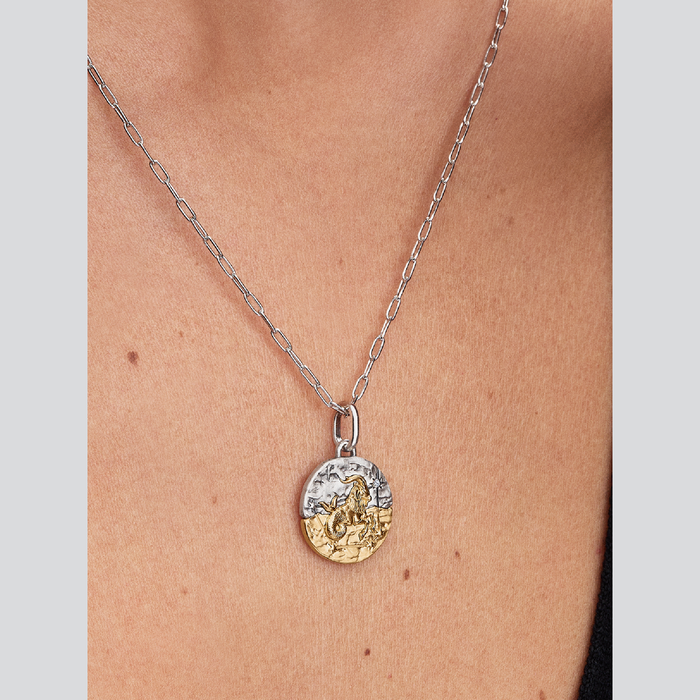 Charm Medallion Capricorno