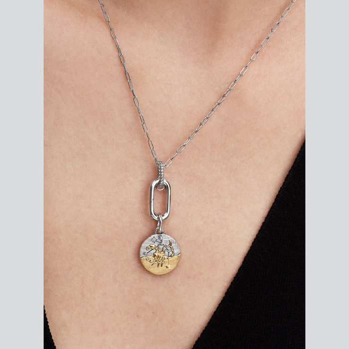 Charm Medallion Scorpione