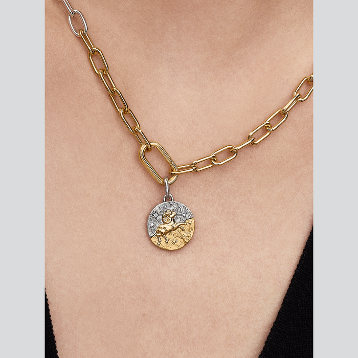 Charm Medallion Ariete
