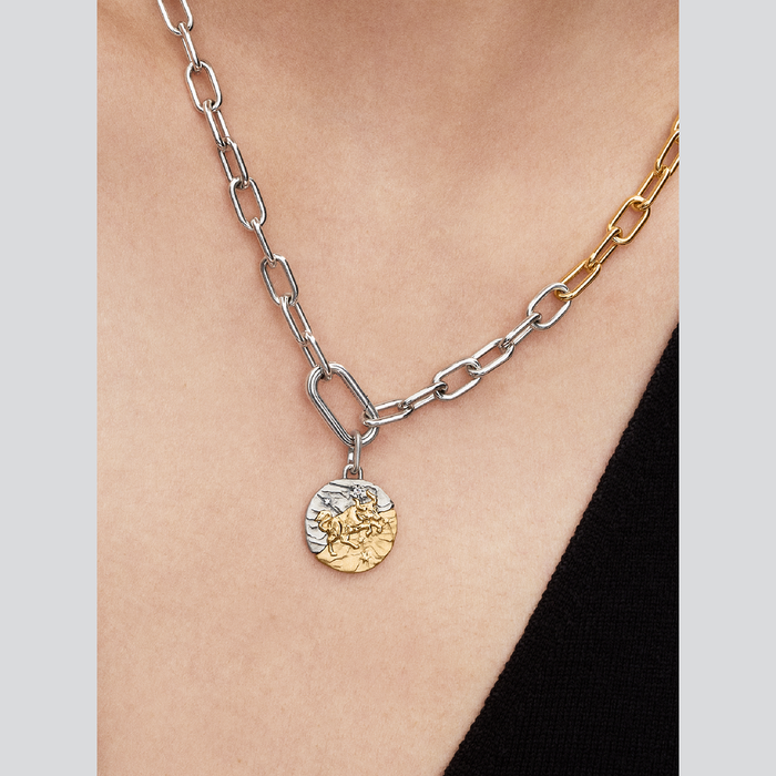 Charm Medallion Toro