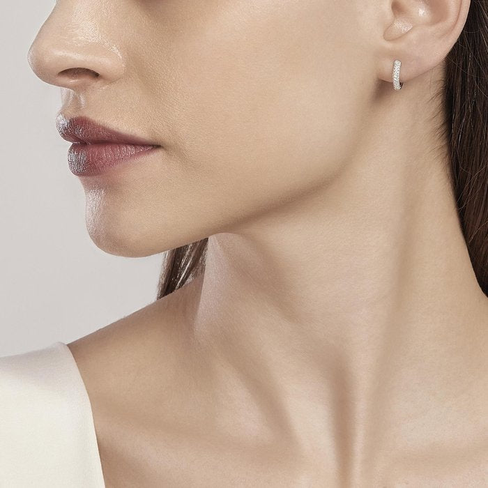 FIXED PAIR earrings