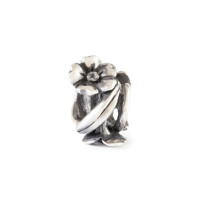 Elegante Fiore di Ciliegio