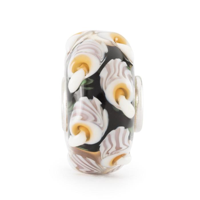 Champignons de force