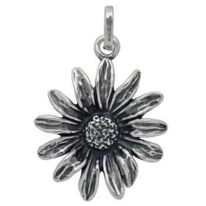 Charme de marguerite