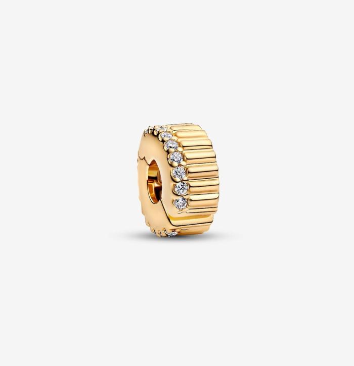 Clip Rigata con Pietre