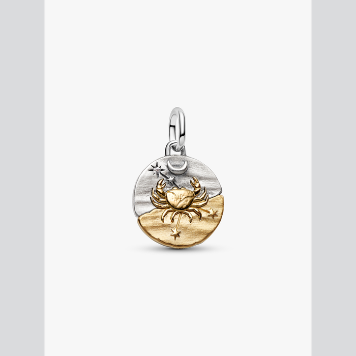 Charm Medallion Cancro