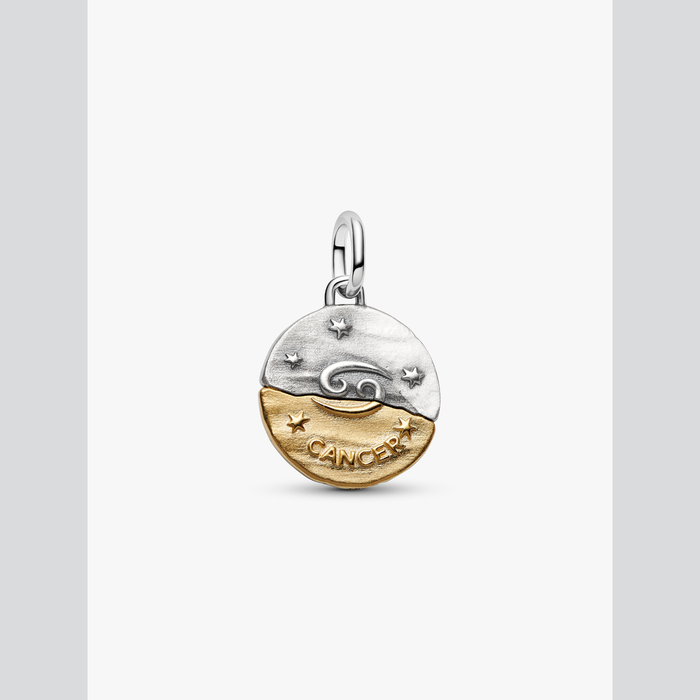 Charm Medallion Cancro