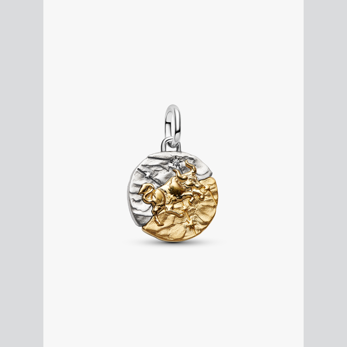 Charm Medallion Toro