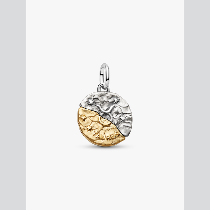 Charm Medallion Toro
