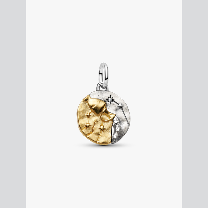 Charm Medallion Acquario