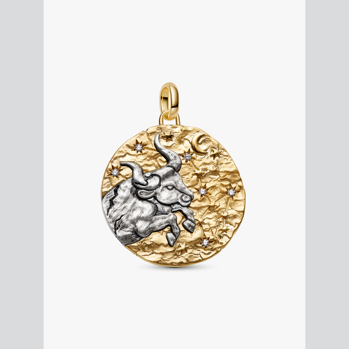 Charm Medallion XL Toro "Fortitudo Animi"