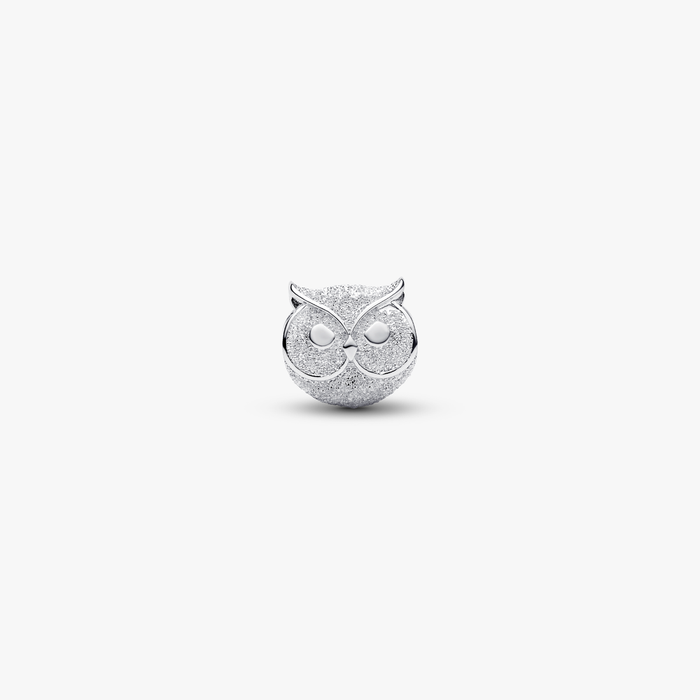 Mini Charm Gufo effetto diamantato