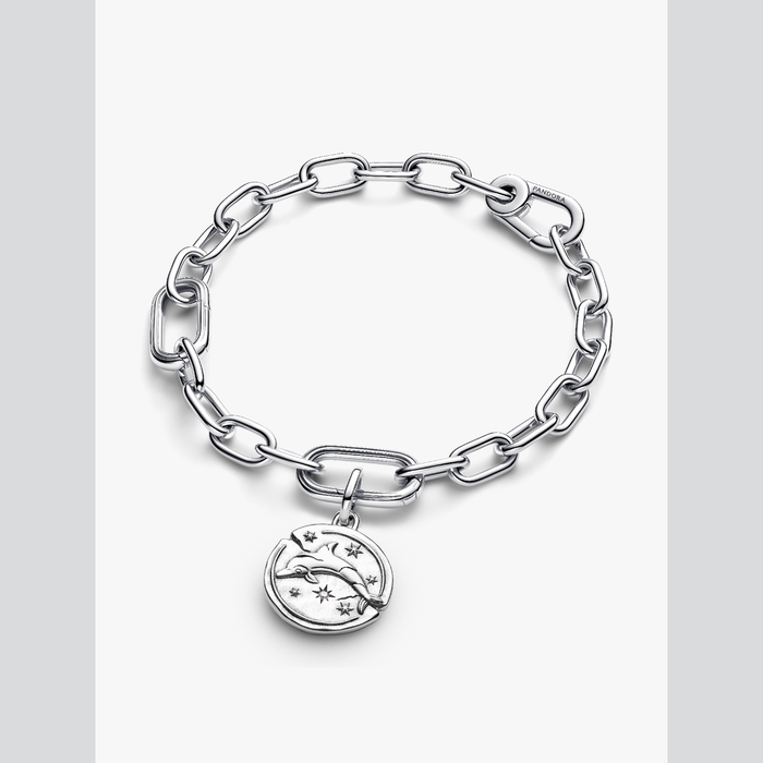 Charm Medallion Delfino "Audaces Fortuna Iuvat"