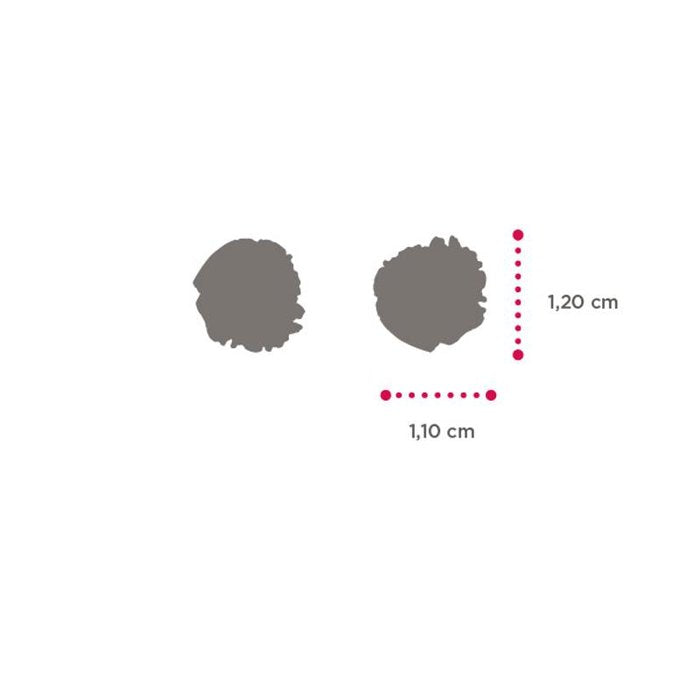 Orecchini Mini Riccio