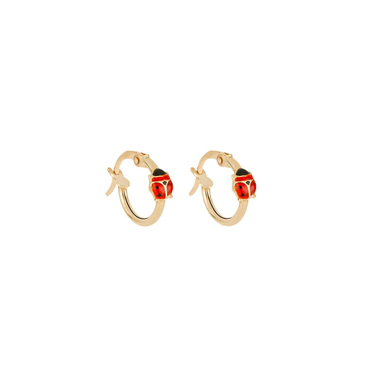 Cerchi coccinella