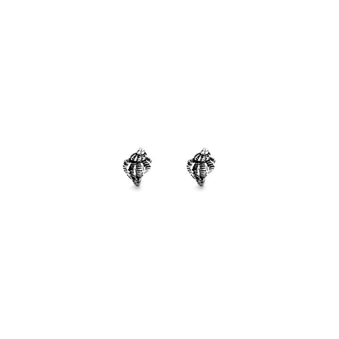 Boucles d'oreilles coquillages