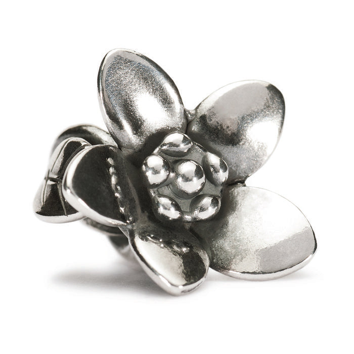 Bourgeon fleuri