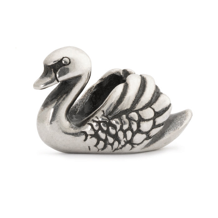 Swan