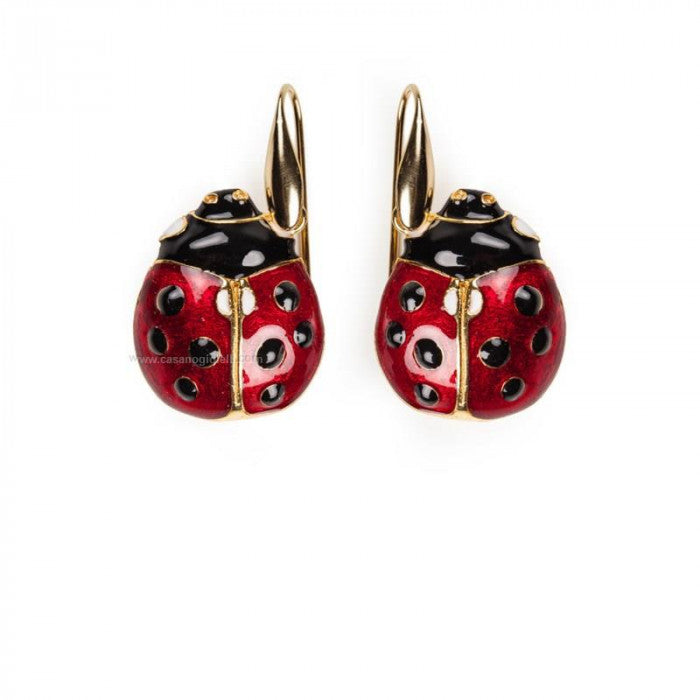 Coccinelle