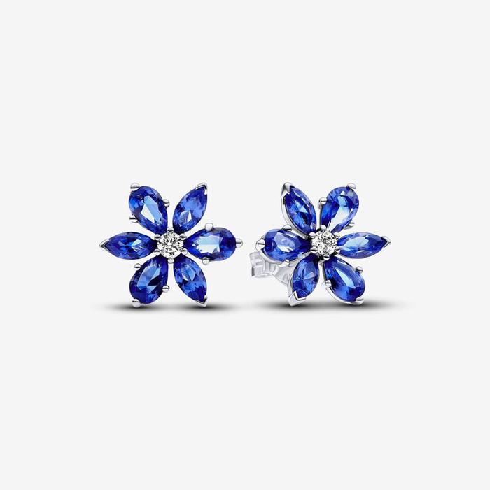Boucles d'oreilles Fleur Bleue Herbarium