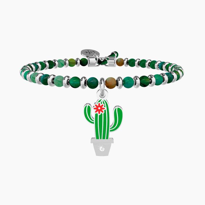 CACTUS | AU-DELÀ DES APPARENCES