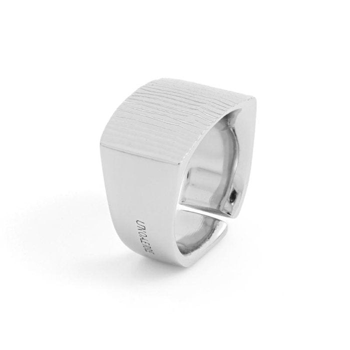 Silver plated bronze ring