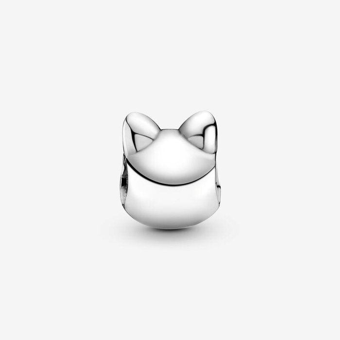 Kitten Charm