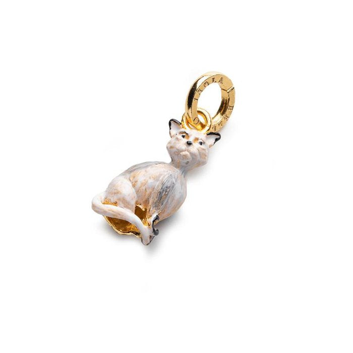 Charme de chat