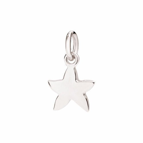 Pendentif étoile de mer