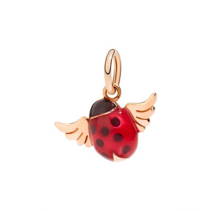 COCCINELLA CON ALI