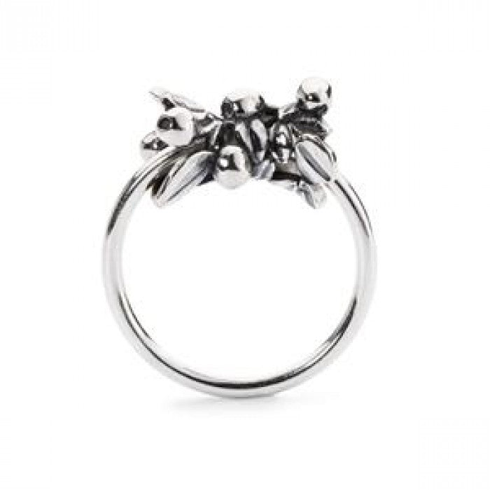 Anello bacche di mirtillo