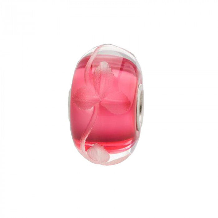 Raspberry