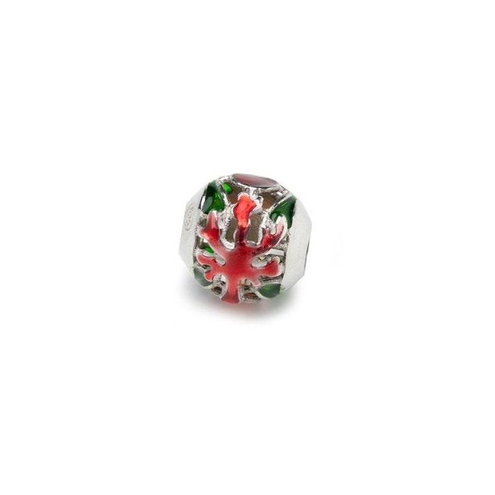 Corallo Conchiglia
