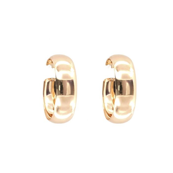 925 Silver Earrings