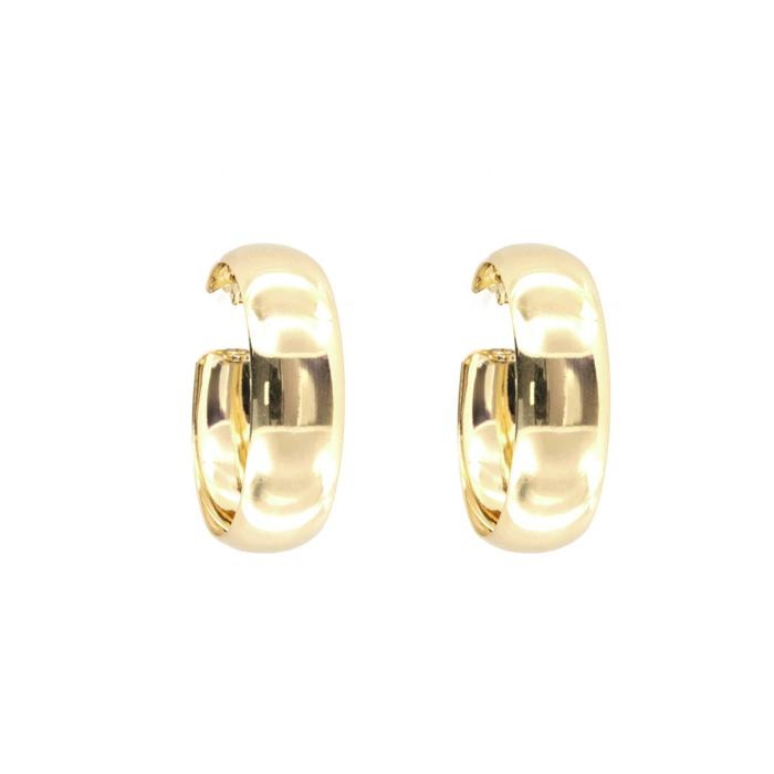 925 Silver Earrings