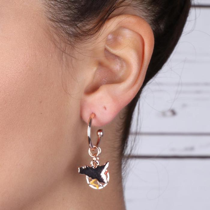 Boucles d'oreilles en métal