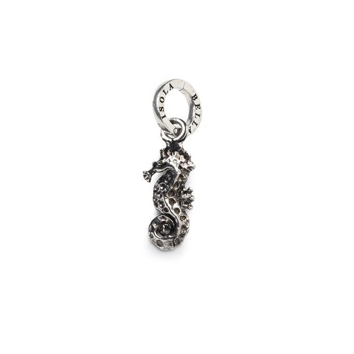 Charm Mini Hippocampe Nu