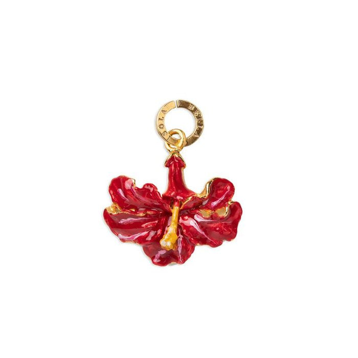Charme d'hibiscus