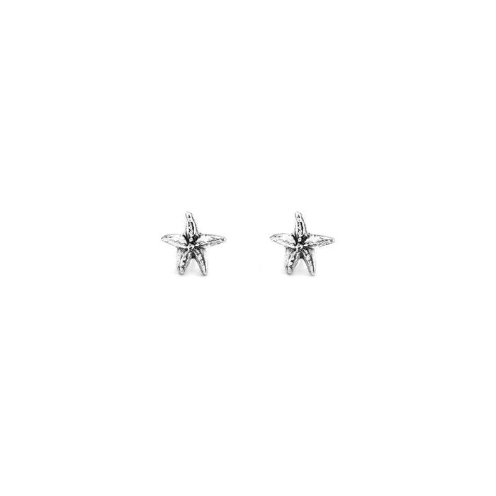 Small Starfish Earrings