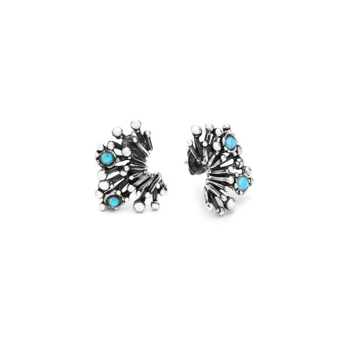 Boucles d'oreilles feux d'artifice