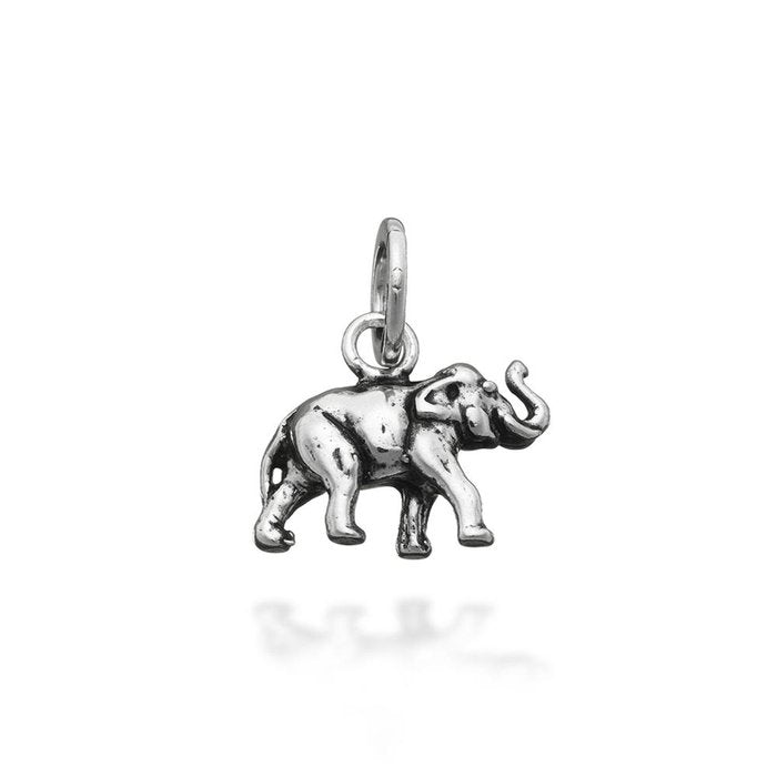 Charme d'éléphant