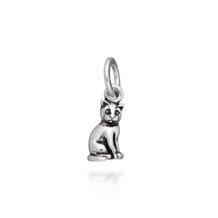 Charm Gatto