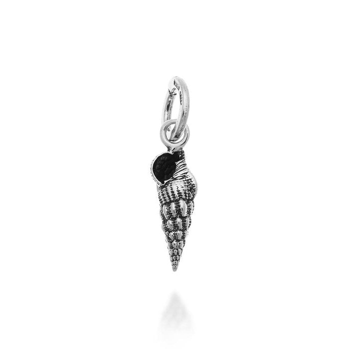 Turritella Shell Charm