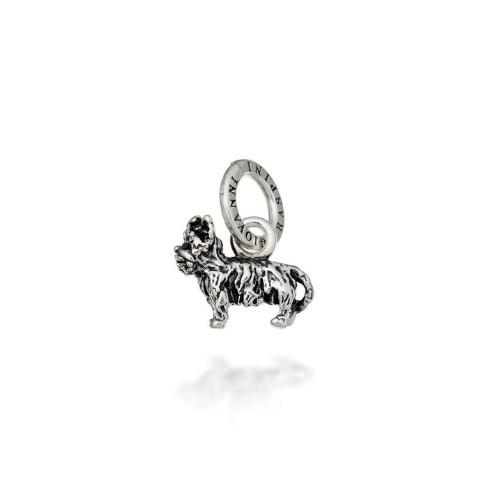 Charm Yorkshire Terrier