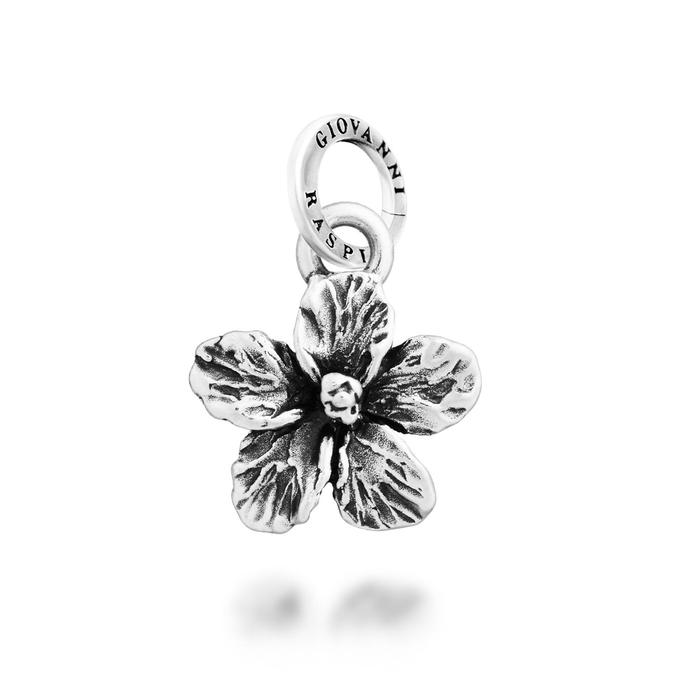 Charm Ibisco