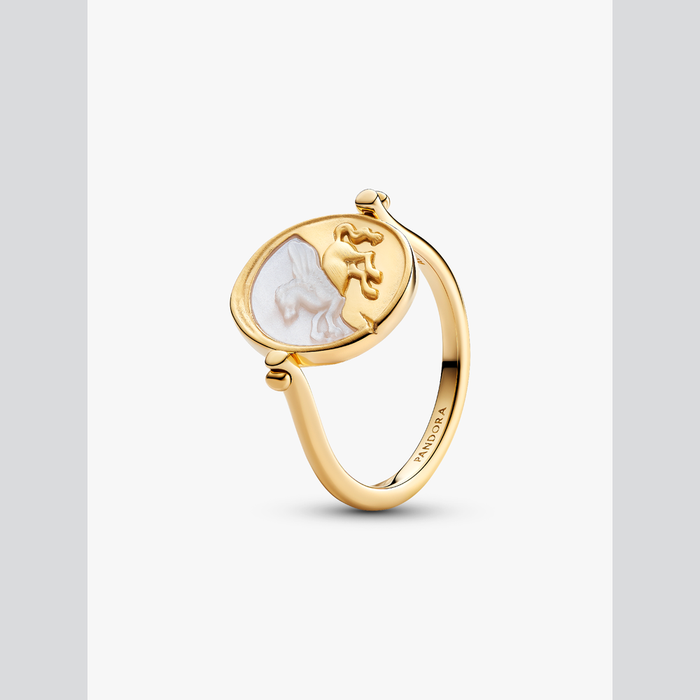 Anello Medallion Pegaso "Ex Animo" Reversibile