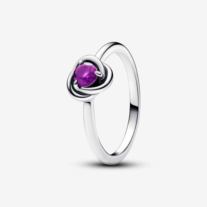 Purple Eternal Circle Ring February